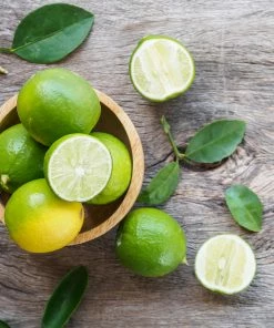 Fast Growing Trees Key Lime Bush Citrus Trees 14 Fast Growing Trees Key Lime Bush Citrus Trees