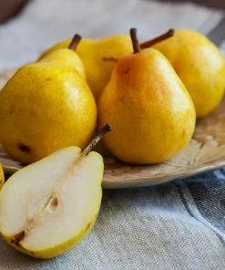 Fast Growing Trees Kieffer Pear Tree