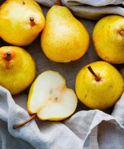 Fast Growing Trees Pear Trees Kieffer Pear Tree 11 Fast Growing Trees Pear Trees Kieffer Pear Tree