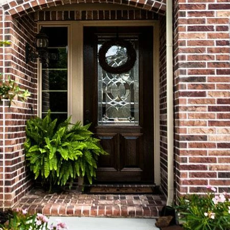 Fast Growing Trees Kimberly Queen Fern Our Newest Arrivals 7 Fast Growing Trees Kimberly Queen Fern Our Newest Arrivals