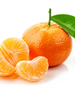 Fast Growing Trees Citrus Trees Kinnow Mandarin Tree