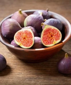 Fast Growing Trees LSU Purple Fig Tree 7 Fast Growing Trees LSU Purple Fig Tree