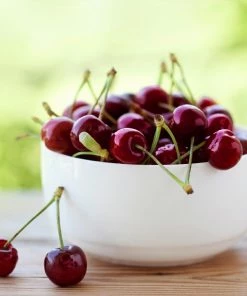 Fast Growing Trees Lapins Cherry Tree Cherry Trees