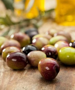 Fast Growing Trees Olive Trees Leccino Olive Tree