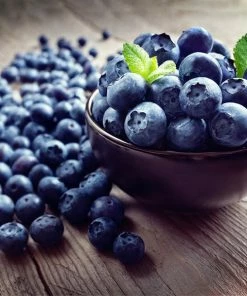 Fast Growing Trees Legacy Blueberry Bush