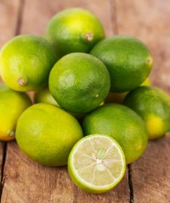 Fast Growing Trees Our Newest Arrivals Limequat Tree