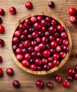 Fast Growing Trees Lingonberry Plant