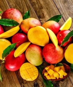 Fast Growing Trees Mango Kit