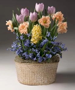 Fast Growing Trees Mother's Day Bulb Garden