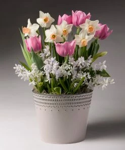 Fast Growing Trees Soft & Sweet Bulb Garden