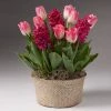 Fast Growing Trees Tabletop Bulb Gardens Valentine's Day Garden With Seagrass Pot