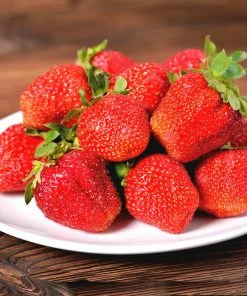 Fast Growing Trees Maxim Strawberry Strawberry Plants