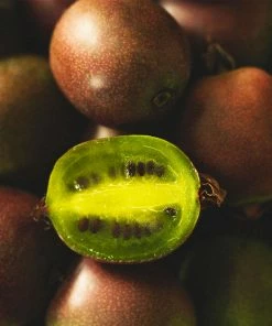 Fast Growing Trees Meader Hardy Kiwi