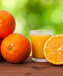 Fast Growing Trees Midknight Valencia Orange Citrus Trees