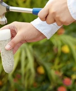 Fast Growing Trees MiracleGro® Fruit Spikes Garden Supplies