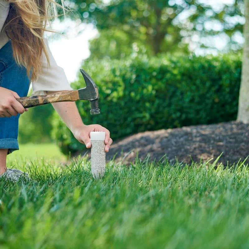 Fast Growing Trees Garden Supplies MiracleGro® Tree & Shrub Spikes 5 Fast Growing Trees Garden Supplies MiracleGro® Tree & Shrub Spikes