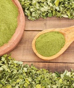 Fast Growing Trees Tropical Fruit Trees Moringa Tree