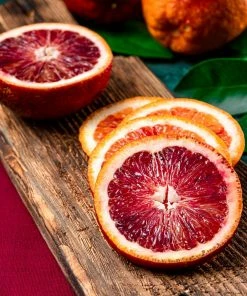 Fast Growing Trees Citrus Trees Blood Orange Tree 13 Fast Growing Trees Citrus Trees Blood Orange Tree