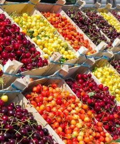 Fast Growing Trees 5-in-1 Cherry Tree