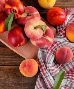 Fast Growing Trees Peach Trees 2-in-1 Peach Tree 6 Fast Growing Trees Peach Trees 2-in-1 Peach Tree