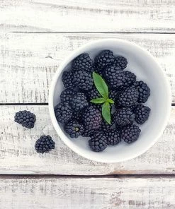 Fast Growing Trees Natchez Blackberry Groundcover & Vines