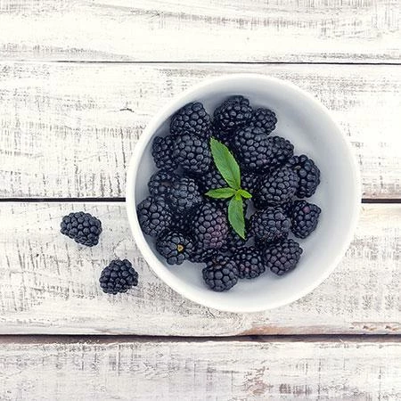 Fast Growing Trees See All Fruit Trees Natchez Blackberry - USDA Organic 6 Fast Growing Trees See All Fruit Trees Natchez Blackberry - USDA Organic