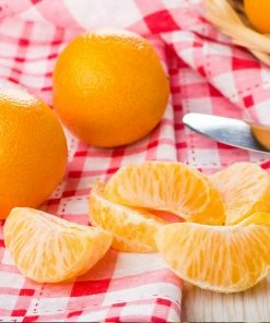 Fast Growing Trees Citrus Trees Navel Orange Tree - USDA Organic