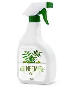 Fast Growing Trees Neem Oil