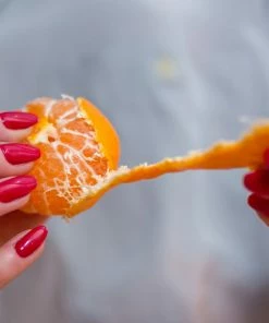 Fast Growing Trees Citrus Trees Nules Clementine Tree