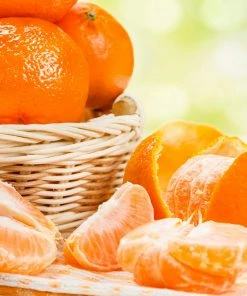 Fast Growing Trees Owari Satsuma Mandarin Tree Citrus Trees