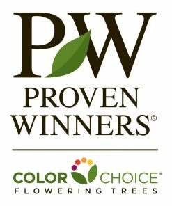 Fast Growing Trees Crusader® Hawthorn 11 Fast Growing Trees Crusader® Hawthorn