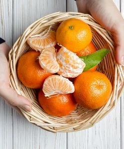 Fast Growing Trees Page Mandarin Tree 9 Fast Growing Trees Page Mandarin Tree