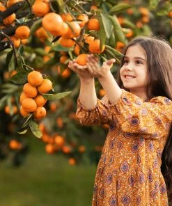 Fast Growing Trees Page Mandarin Tree