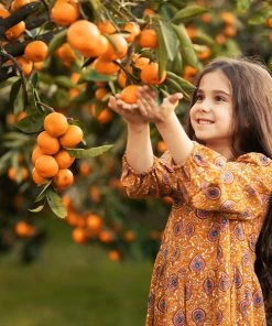 Fast Growing Trees Page Mandarin Tree