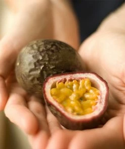 Fast Growing Trees Passion Fruit Vine (Flower)