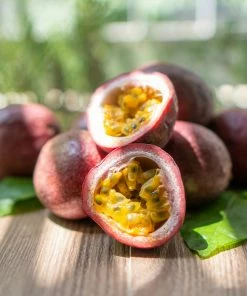 Fast Growing Trees Passion Fruit Vine (Flower)