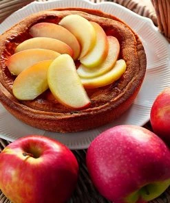 Fast Growing Trees Pink Lady® Apple Tree