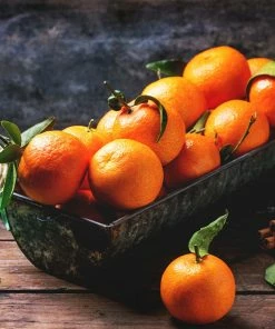 Fast Growing Trees Pixie Mandarin Tree Citrus Trees