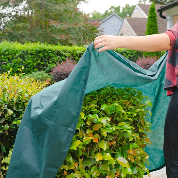 Fast Growing Trees Planket™ - Frost & Cold Protection (8ft. Round) 3 Fast Growing Trees Planket™ - Frost & Cold Protection (8ft. Round)