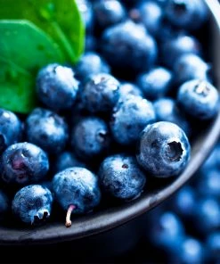 Fast Growing Trees Blueberry Bushes Powderblue Blueberry - USDA Organic