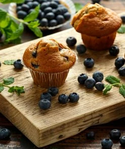 Fast Growing Trees Blueberry Bushes Premier Blueberry Bush - USDA Organic