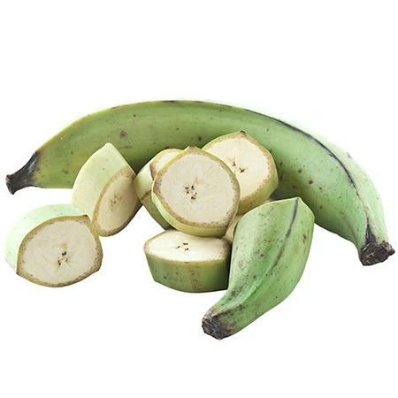 Fast Growing Trees Puerto Rican Plantain Banana Tree Banana Trees 5 Fast Growing Trees Puerto Rican Plantain Banana Tree Banana Trees