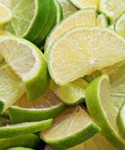 Fast Growing Trees Persian 'Bearss' Lime Bush