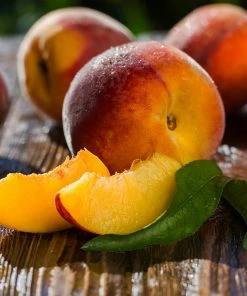 Fast Growing Trees Red Baron Peach Tree Peach Trees