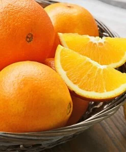 Fast Growing Trees Robertson Navel Orange