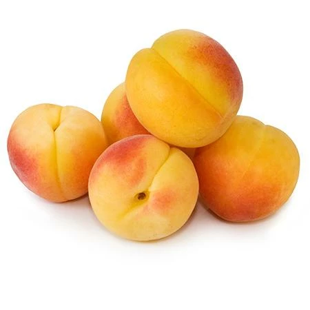 Fast Growing Trees See All Fruit Trees Late Ross Peach Tree 5 Fast Growing Trees See All Fruit Trees Late Ross Peach Tree