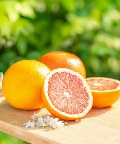 Fast Growing Trees Our Newest Arrivals Ruby Red Grapefruit Tree