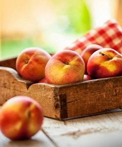 Fast Growing Trees See All Fruit Trees Sundollar Nectarine Tree (USDA Organic)