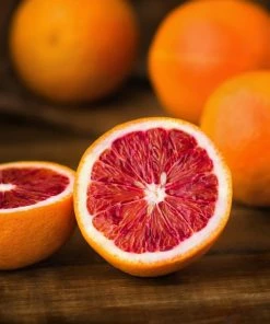 Fast Growing Trees Sanguinelli Blood Orange Tree