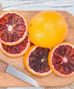 Fast Growing Trees Sanguinelli Blood Orange Tree